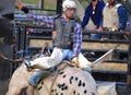 Western Cowboy bull riding at rodeo Royalty Free Stock Photo